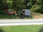 Muddy Run Park - Amish Neighbors