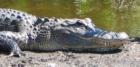 Natural beauty abounds in Titusville FL