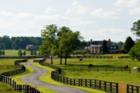 Horse Farm