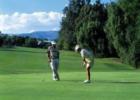 Haymarket consists of many Golf Courses
