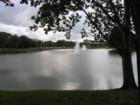Peaceful lake view