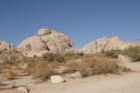 Joshua Tree Geology Tour