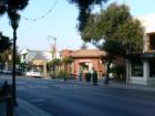 Los Gatos - Downtown