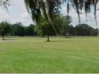 horse farm