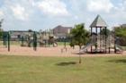 Pine Hollow has a few great Parks