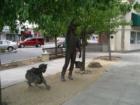Vacaville street art, statue depicting workers picking fruit, located on Main Street near Merchant.