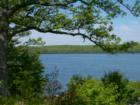 Probably my favorite photo of Lake Wallenpaupack, taken from the dike near Hawley.