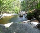 Another view from Childs Park, a National Park Service park in Dingmans Ferry PA.