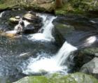 Waterfalls at Childs Park.