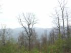 View from the club house at Creston Preserve