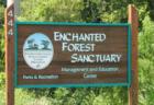 Enchanted Forest - Titusville FL. A lovely way to spend an afternoon.  