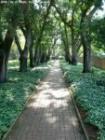 Pathway at Hopeland Gardens