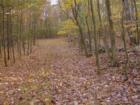 This lane in the woods is actually an old Lackawaxen Township road.  The broken down stone wall; the crunch of leaves beneath my feet, the earthy smell of the woods: I love Pike County!