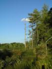 Another beautiful scene from Lackawaxen Township.