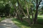 Waterford Trails hike and bike trail