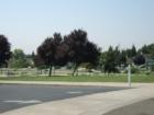 Pokelma Park - View 2 from Diane Drive entry