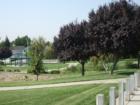 Pokelma Park - View 4 from Diane Drive