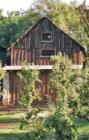 Old Vintner's shed, Boeger Vineyards, Placerville