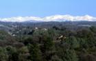 Sierra's from Placerville