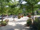 View from front steps of Pottstown City Hall