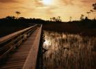 New Homes by the Bolsa Chica Wetlands. You can see more information at www.luxurylivingsocal.com