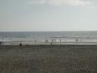 Del Mar dog beach - located across from Del Mar race track.  My dog's favorite beach.  We are there 2 to 3 days a week.  If you see me be sure to say Hi - I have a black lab named Taz