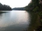 Remember the water scene in Dirty Dancing?
      
      