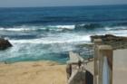 Ocean view