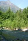 Creek in Western MT