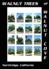 A collection of some of the walnut trees in the Walnut Cove area of Northridge