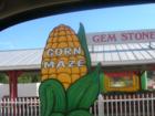 Hillridge Farms - Corn Maze