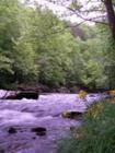 Riversong Estates Lot #16 on the Middle Prong of the Little Pigeon River