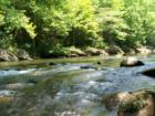 A portion of the Little Pigeon River in Riversong Estates