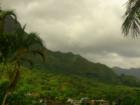 The Neighborhood of  Maunawili, Kailua, Oahu, Hawaii