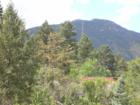 The Manitou Springs Incline