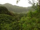 Spectacular Ko'olau Views, Maunawili, Kailua, Oahu, Hawaii
