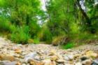 Dry Creek Dimple Dell