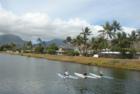 Canoe Paddlers, Kawainui Canal, Koolaupoku, Kailua, Oahu, Hawaii