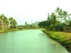 Kawainui Canal, Kaimalino, Kailua, Oahu, Hawaii