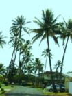 Beachside Homes, Kailua, Oahu, Hawaii