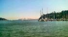 Tiburon