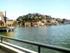 Tiburon