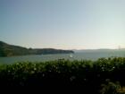Tiburon