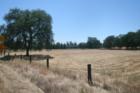 Palo Cedro offers ranch type properties with many  homes on acreage. Palo Cedro is only a 10 minute drive into the city of Redding yet a world away...