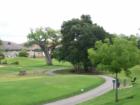 View of the Paradise Valley golf course, a public city owned course