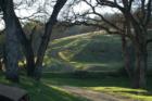Green Valley