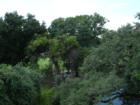 View from Observatory Level at the Witte