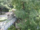 View of the treehouse at the Witte