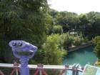 View of the San Antonio River 