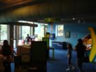 H-E-B Science Treehouse - 2nd floor